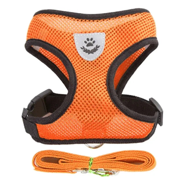 Cat and Dog Harness Vest – Secure & Comfortable Outdoor Adventures