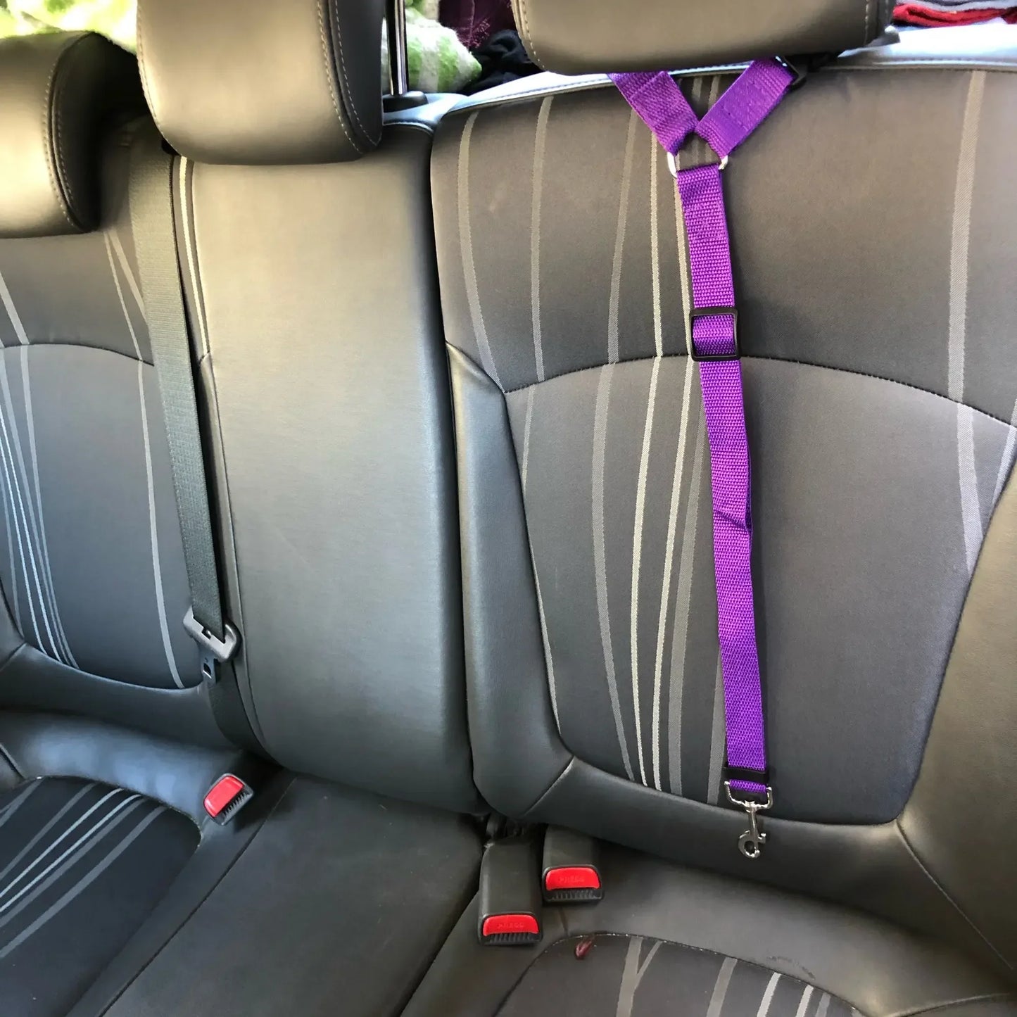 2-in-1 Pet Car Seat Belt & Leash – Safe & Secure Travel