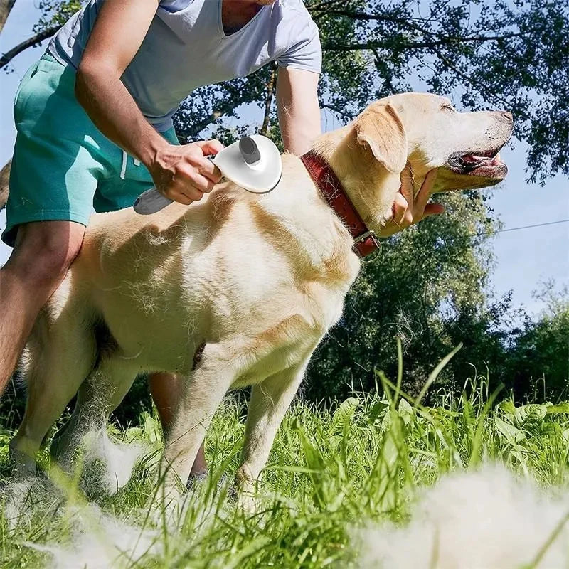 Selbstreinigende Haustierbürste für Hunde und Katzen