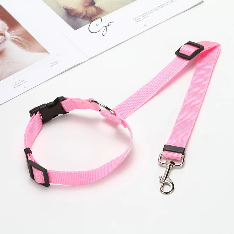 2-in-1 Pet Car Seat Belt & Leash – Safe & Secure Travel