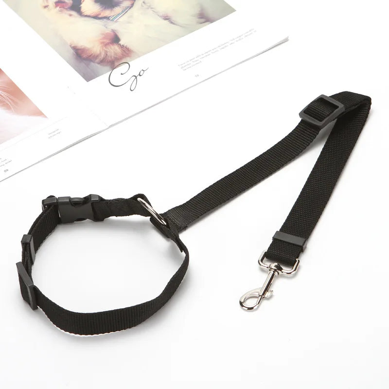 2-in-1 Pet Car Seat Belt & Leash – Safe & Secure Travel