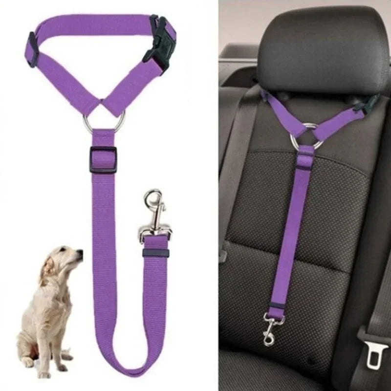 2-in-1 Pet Car Seat Belt & Leash – Safe & Secure Travel