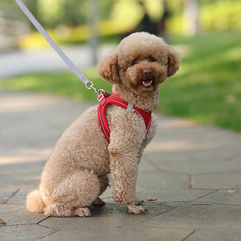 Colete refletivo para cães e gatos – Aventura ao ar livre segura e confortável