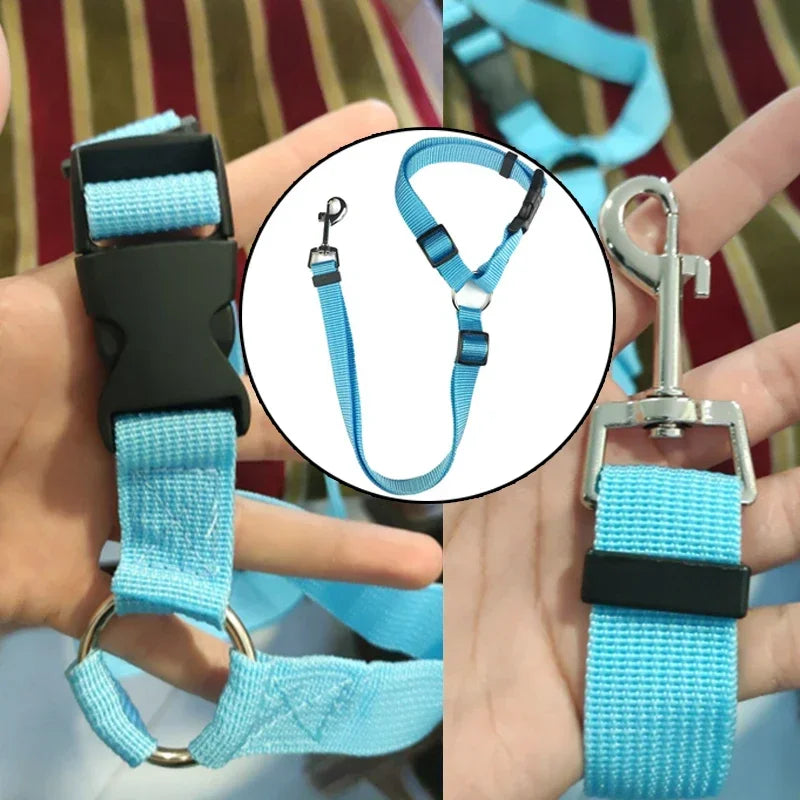 2-in-1 Pet Car Seat Belt & Leash – Safe & Secure Travel